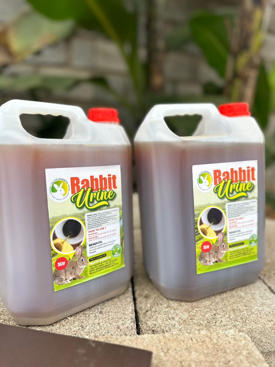5Ltrs Rabbit Urine