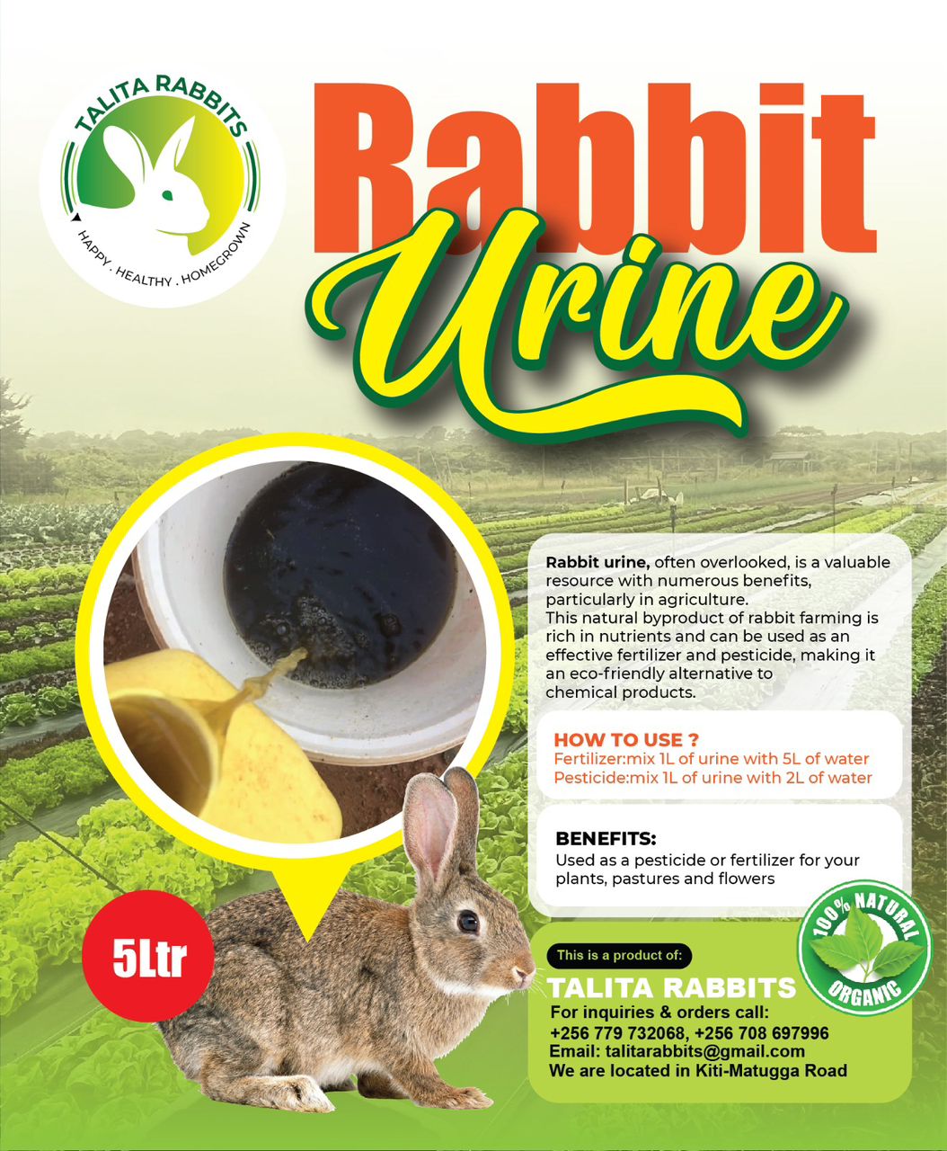 Rabbit Urine