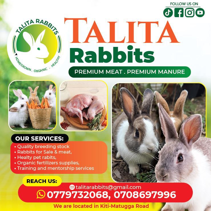 Talita Rabbits Farm