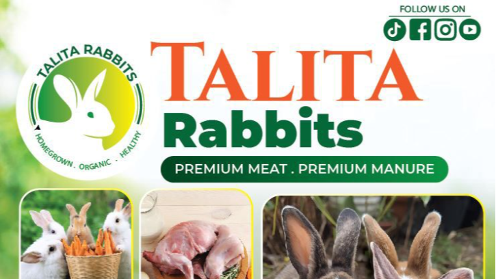 Talita Rabbits Farm